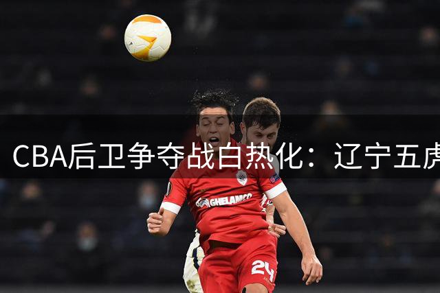 CBA后卫争夺战白热化：辽宁五虎将成型 山东重金求购王岚嵚遇阻